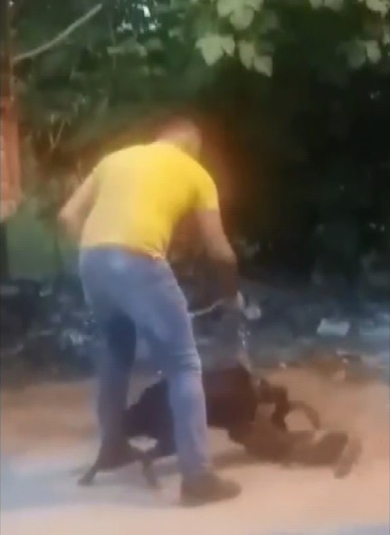 Vahşet! Köpeğine sokak kedisini böyle parçalattı - Resim : 1