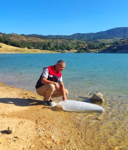 Denizli'de 1 milyon 6.000 tanesi bir anda doğaya bırakıldı... Milyonlarcası saniyeler içerisinde gözden kayboldu - Resim: 6