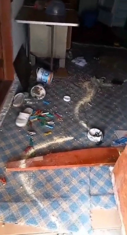 Trabzon'un Araklı ilçesinde doğada kış uykusundan uyandı. Tek 1 başına yapmaması gerekeni yaptı. Türkiye hazır olsun 200'lerce uyanacak - Resim: 2