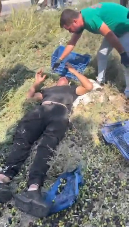 Bahçede korkunç olay! Zeytin toplayan işçi feci şekilde can verdi: Yaralılar var - Resim : 3