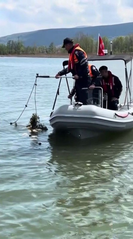 Sakarya’da doğada büyük felaket. Amatör balıkçılar attı, 1000’lercesi teker teker telef oldu - Resim: 3