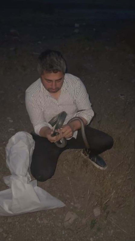Hatay'da herkesin yaklaşmaya korktuğu deliğe gözünü kırpmadan gitti! 2 tanesini oradan çekip aldı - Resim: 5
