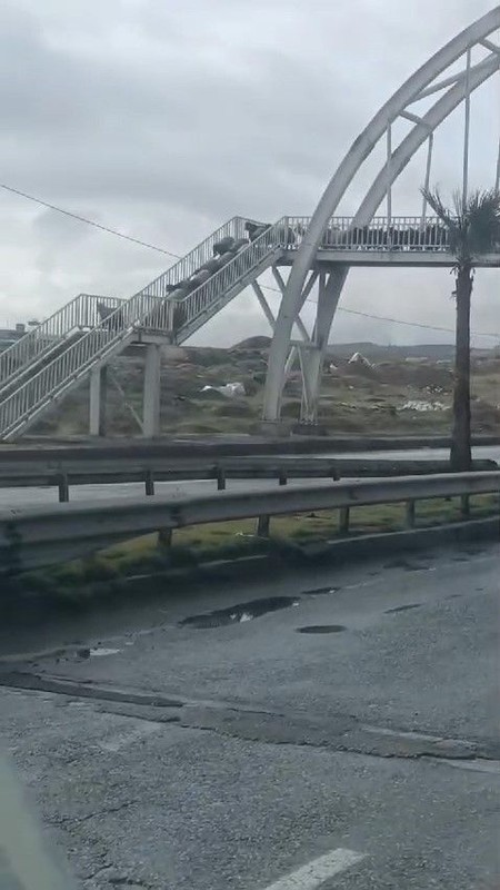 Şırnak'ta çobanlar talimatı verdi... 500'den fazla koyunun sürü halinde yaptığı hareket gören herkesi şaşkına çevirdi - Resim: 2