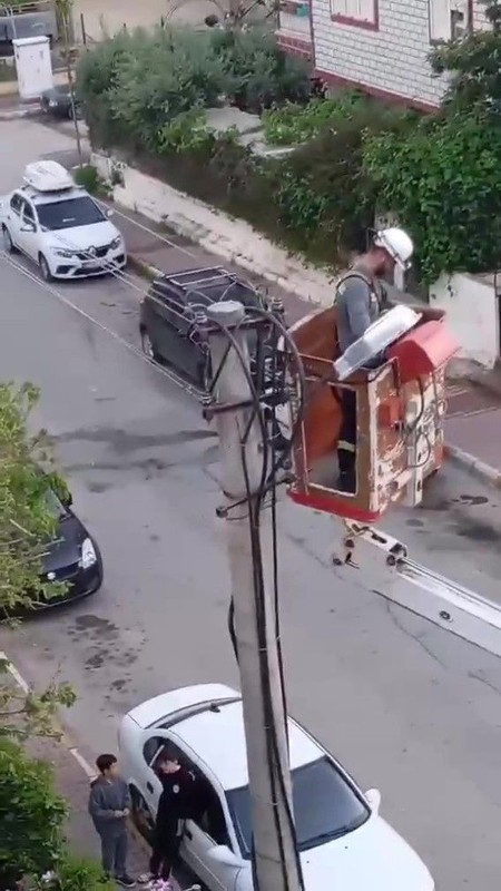 Antalya'da 1 tek başına o duruyordu... Vatandaşlar elektrik tellerindeki manzarayı fark etmelerinin ardından hemen ekiplere haber verdi - Resim: 5