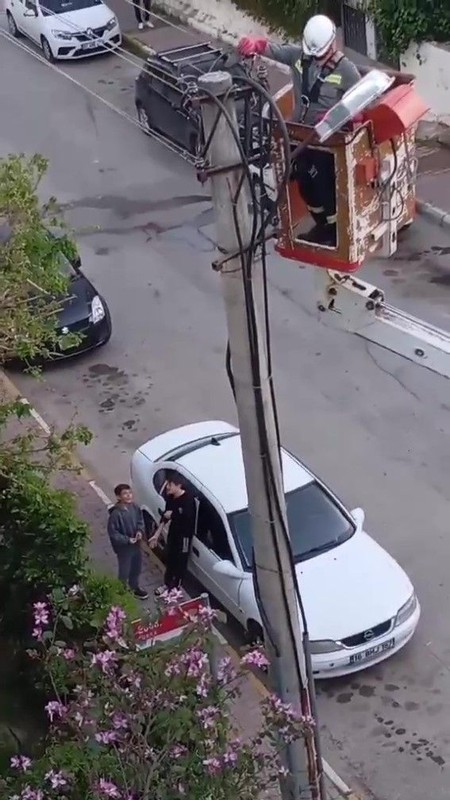 Antalya'da 1 tek başına o duruyordu... Vatandaşlar elektrik tellerindeki manzarayı fark etmelerinin ardından hemen ekiplere haber verdi - Resim: 2