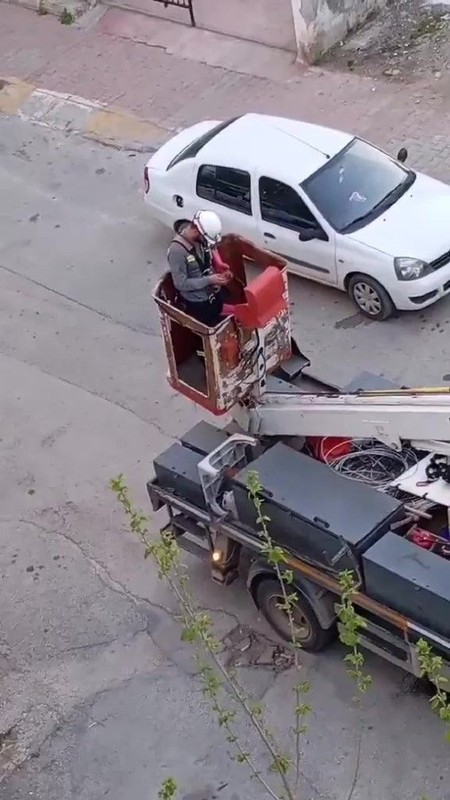 Antalya'da 1 tek başına o duruyordu... Vatandaşlar elektrik tellerindeki manzarayı fark etmelerinin ardından hemen ekiplere haber verdi - Resim: 3