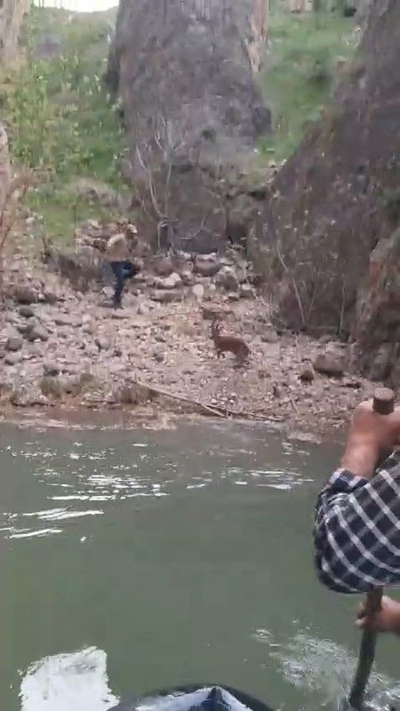 Elazığ’da 1 tane keçi kayalıklarda mahsur kaldı. Acilen bölgeye çağrılan resmi ekipler gördüğü manzara karşısında dondu kaldı - Resim: 2