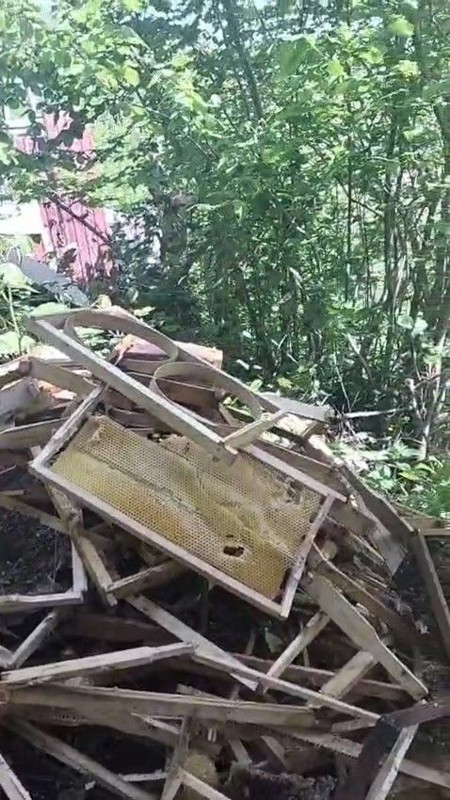 Rize'de 1500 tanesi rahat rahat yapılacaktı... Deponun içerisine giren vatandaş gördüğü manzara ile dehşete düştü 1 tane hayvan yapmıştı - Resim: 3