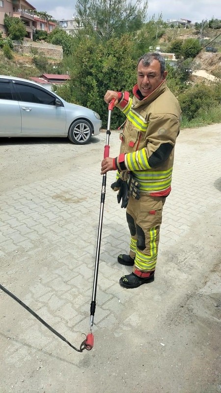 Hatay'da İskenderun, Arsuz, Antakya, Dörtyol, Payas, Samandağ tek tek uyarıldı. O hayvan doğadan uyanıp evleri hedef alıyor - Resim: 2