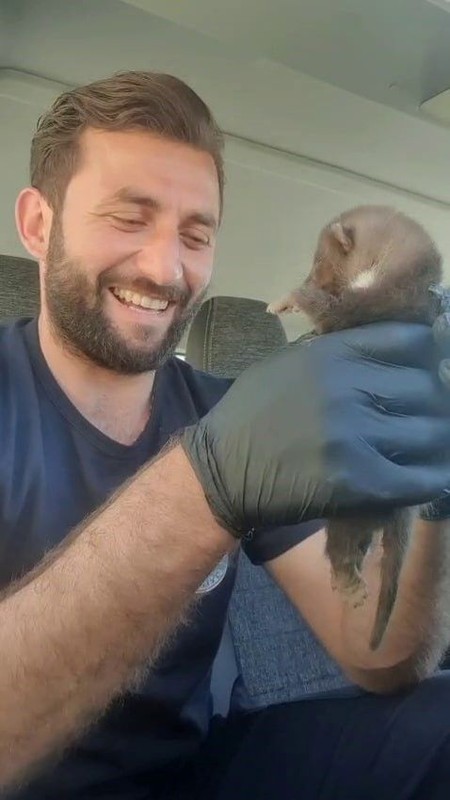 Sakarya'da ekipler 1 tane hayvanla ilgili ihbar üzerine bölgeye gitti. Ekipler ilk bölgeye vardıklarında 1 tane hayvana bakınca gözlerine inanamadı - Resim: 3