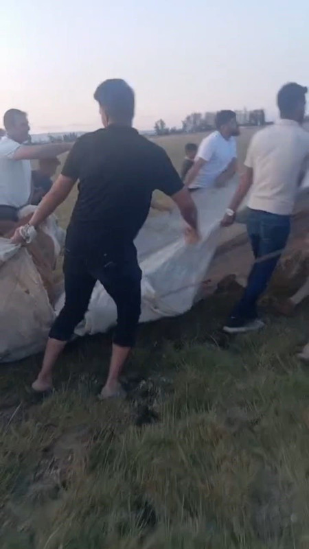 Bitlis'te 10 tane ineği otlatmaya çıkaran çoban, 1 saat sonra 1 tane ineğe bakınca korkunç manzarayı gördü. Tüm köy bir anda oraya yığıldı - Resim: 3