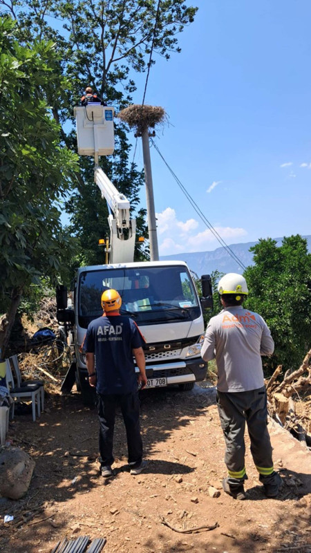 Muhtarın fark ettiği yaralı leylek ekiplerce kurtarıldı, tedaviye alındı - Resim: 1