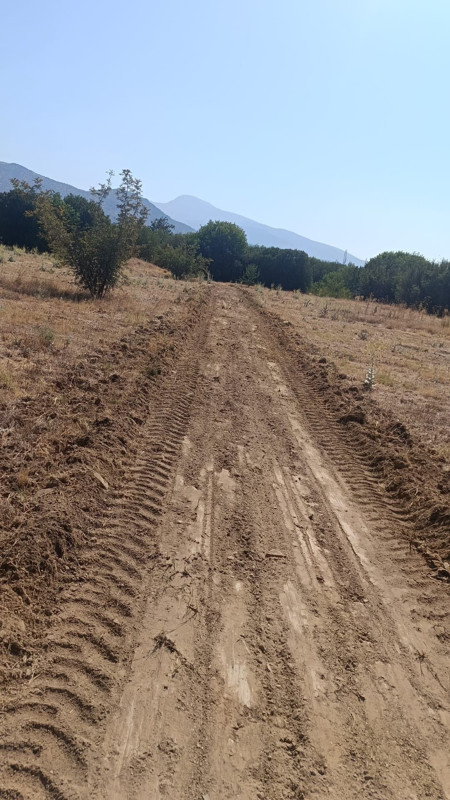 Afrodisias Antik Kenti'nde orman yangını riski arttı, tedbirler üst seviyeye çıkarıldı - Resim: 1