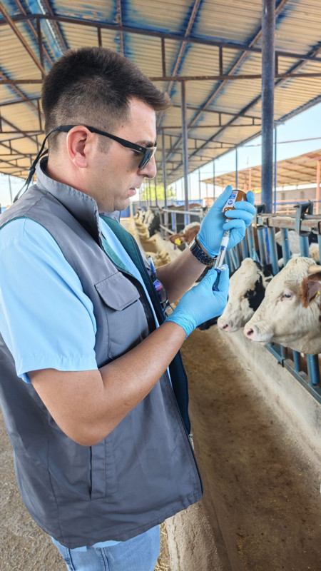 Niğde’de şap hastalığına karşı 190 bin hayvan aşılandı, üreticilere bilgilendirme yapıldı - Resim: 1