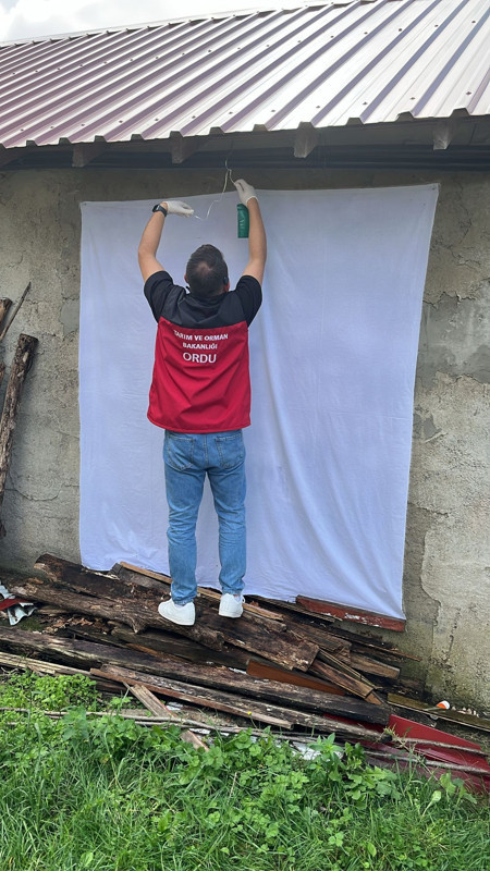 Karadeniz'in bitmeyen çilesi artarak çoğalmaya devam ediyor! Vatandaşlar önlem üzerine önlem alıyor - Resim: 1