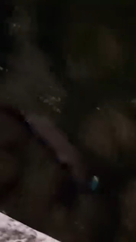 Hakkari’nin Yüksekova ilçesinde derede o nadir hayvan fark edildi! Vatandaşlar hemen kayda aldı - Resim: 3