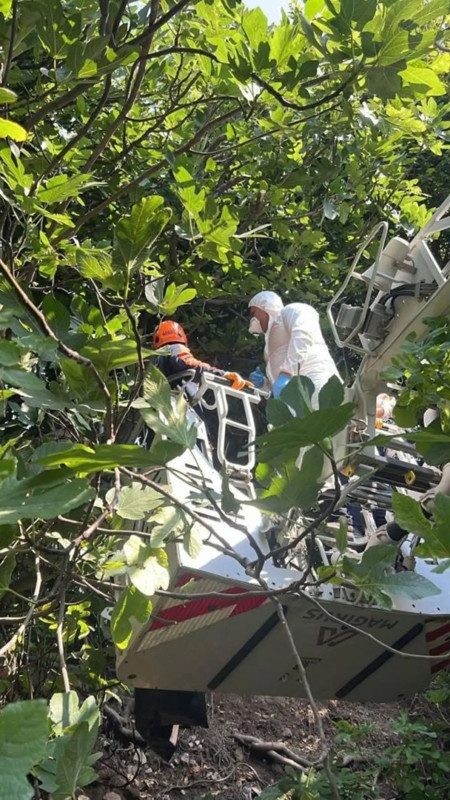 Hatay'da dehşet! Koku ihbarına giden ekipler incir ağacına asılı halde buldu! - Resim: 2