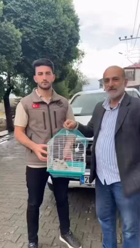 Iğdır’da bulunan kerkenez yavruları, bakımlarının ardından doğaya bırakıldı - Resim: 2