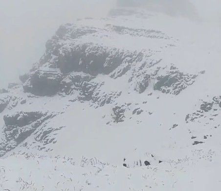 Tunceli'den Erzurum yaylalarına giden yaylacılar karla karşılaştı - Resim: 3