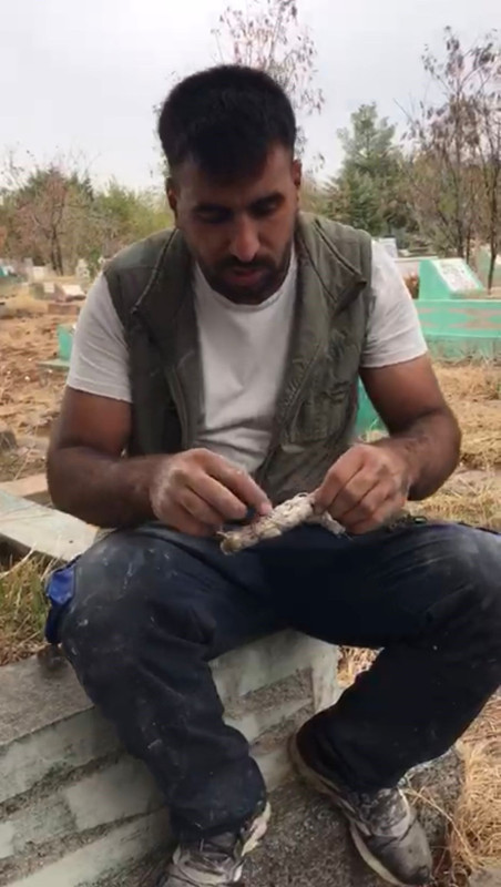 Mezarlıkta korku filmlerini aratmayan olay! Bulduğu şey görenleri dehşete düşürdü - Resim: 2