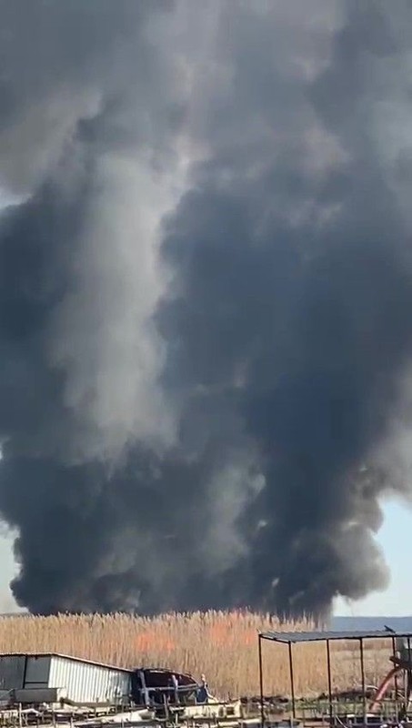 Denizli'de korkunç yangın! Gökgöl'deki sazlıklar cayır cayır yanarken binlerce yaban canlısının telef oldu - Resim: 1