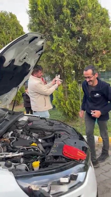 Karabük'te otomobilin motor kısmından bağırışlar geliyordu. Motoru açtıklarında karşılarında 1 tanesini gördüler - Resim: 1