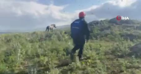Ardahan'da adadaki 1 tane hayvanı gören vatandaşlar 10 saat sonra aynı yerden geçtiklerinde korkunç detayı fark ettiler. Acilen resmi ekipler arandı - Resim: 4