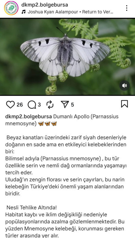 İran ve Afganistan'da belki bir daha görülemeyecek o hayvan Uludağ'da ortaya çıktı. Görenleri güzelliğiyle hayran bıraktı - Resim: 4