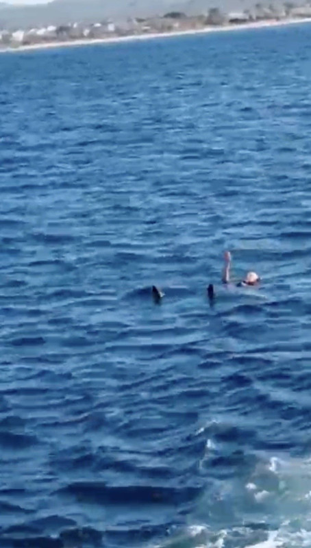 Denizin ortasında korku dolu anlar! Bir anda feribottan atladı - Resim: 3