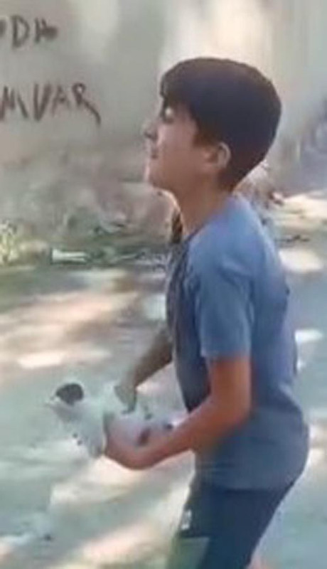 Ağrı’da taşlarla kapatılan foseptikte mahsur kalan yavru kedi çocukların dikkatiyle kurtarıldı - Resim: 3