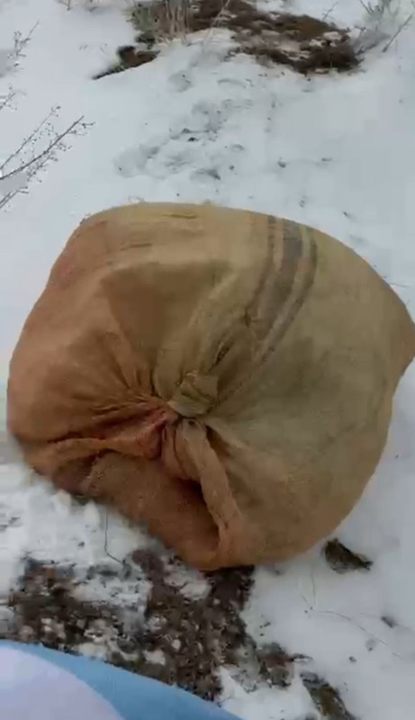 Hakkari'de 70 tanesi açlıktan titriyordu! 1000'lerce adım atarak dağın zirvesine yanlarına gittiler - Resim: 4