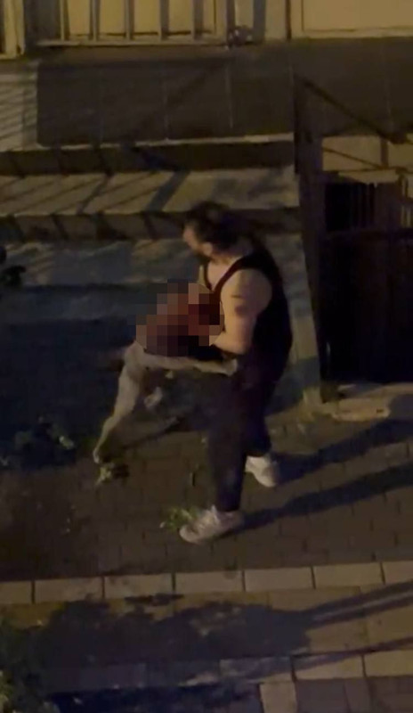 Pitbull cinsi köpek, sahibine saldırdı! Yardım çığlıkları mahalleyi inletti: O dehşet anları kamerada - Resim: 2