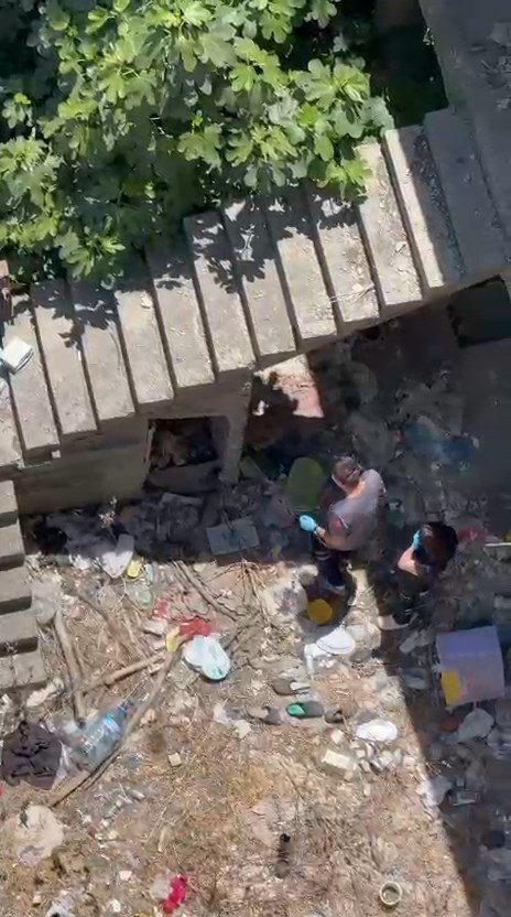 Kedisini ararken hayatının şokunu yaşadı! Gördüğü şey karşısında neye uğradığına şaşırdı - Resim : 2