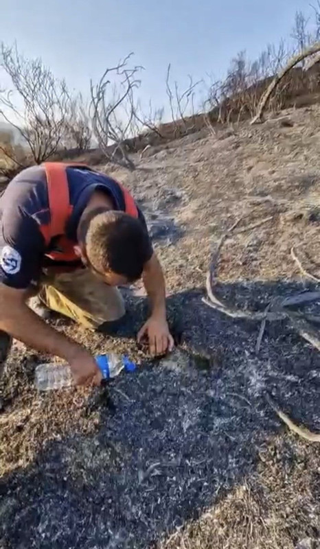 Hatay’da yürek burkan anlar yaşandı. Yangının ortasında çaresizce bekliyordu, itfaiye can oldu - Resim: 1