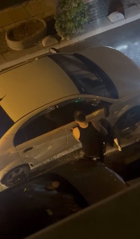 Pitbull cinsi köpek, sahibine saldırdı! Yardım çığlıkları mahalleyi inletti: O dehşet anları kamerada - Resim: 4