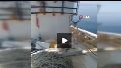 Marmara bölgesinde bir anda amatör balıkçıların karşısına çıktı. 2,5 metrelik canavarı görünce resmen dehşete düştüler - Resim: 1