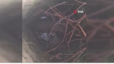 Siirt'te doğadaki kuyudan 2 günden bu yana acı acı bağırış sesleri geliyordu. 2 gün sonra kuyuya inen ekipler resmen gördüğü manzara ile halatlara sarıldı - Resim: 4