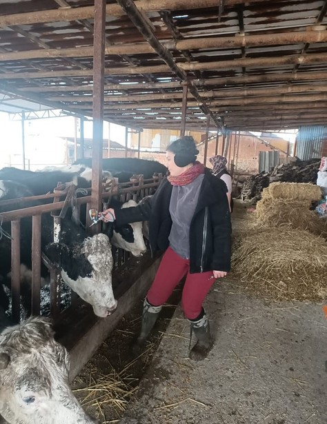 Afyonkarahisar'da yetkili ekip çalışmalara başladı. Büyükbaş hayvan sahiplerinin kapısını tek tek çaldılar - Resim : 1