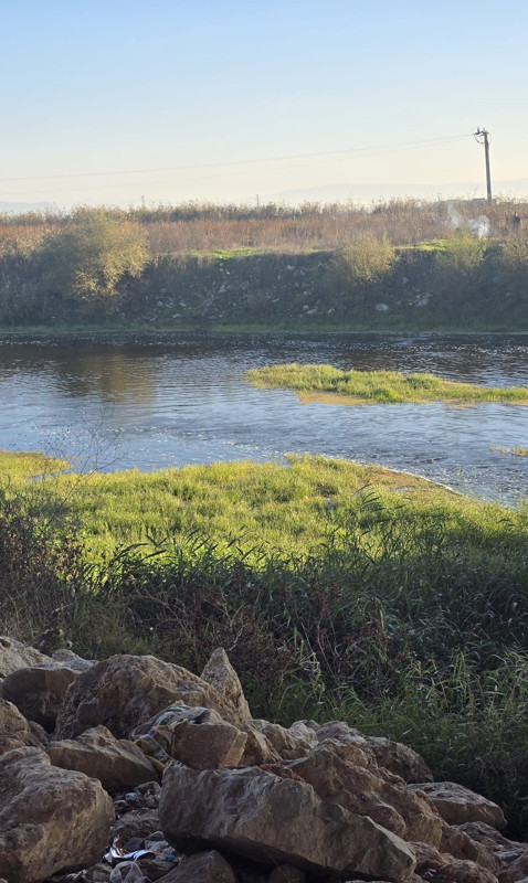 Acı oyun: 10 yaşındaki çocuk hayatını kaybetti! - Resim: 1