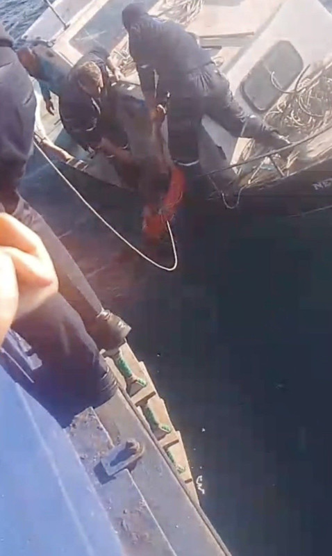 Denizin ortasında korku dolu anlar! Bir anda feribottan atladı - Resim: 4