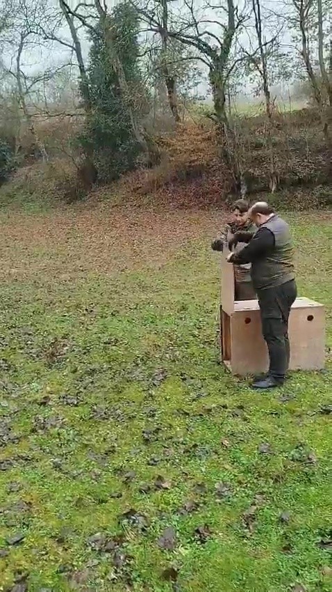 Zonguldak'ta araba çarpması sonucu yaralanmıştı. Ekiplerin acil müdahalesinin ardından yeniden doğaya bırakıldı - Resim : 2