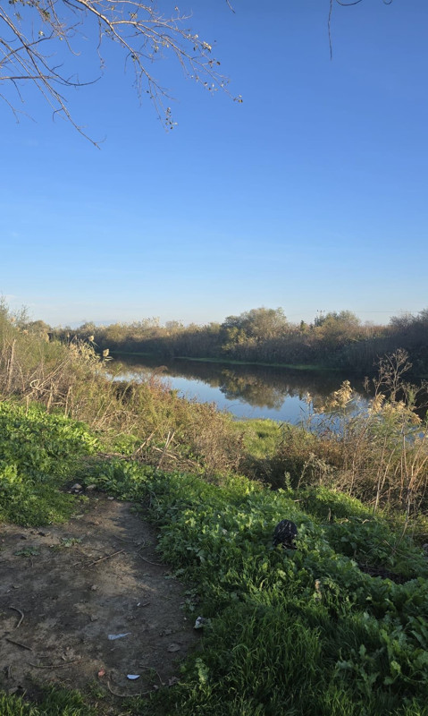 Acı oyun: 10 yaşındaki çocuk hayatını kaybetti! - Resim: 6