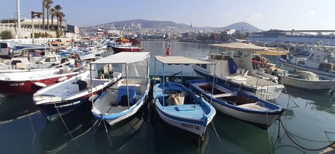 Aydın'da balıkçı ağına takılmış can çekiyordu! Doğadaki korkunç manzarayı fark eden 1 tane kahraman balıkçı hemen ekipleri aradı - Resim: 1