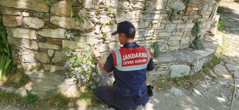 Türkiye'den Aydın'da  Söke ve Kuşadası'na gidecekler dikkat! Doğada jandarma özel olarak koruyor dokunan 557 bin 212'yi hazırlasın - Resim: 1