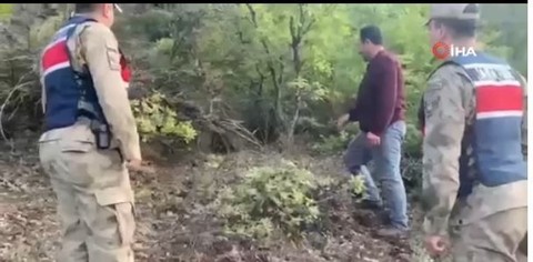 Eruh'ta ormanın içerisinde doğada yalnız 1 tanesi görüldü... Köylü onu görür görmez hiç dokunmadan jandarma ekiplerine ihbar verdi - Resim: 1