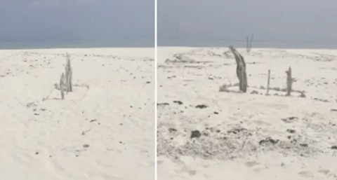 Balıkçıların hepsi patır patır toprağa düşüp ölmüş. Toplu mezarı görenler dehşete düşüyor. Kimse yanına gidemiyor - Resim: 1
