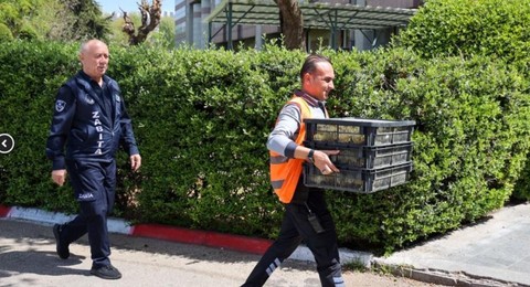 Adana'dan otobüsle Antalya'ya doğru gönderiliyordu... 300 tane sarı hayvan resmi ekiplerin dikkatine takıldı! Herkesten gizlemek istediler - Resim: 1