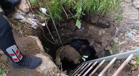 Diyarbakır'da 2 metrelik kuyudan gelen acı acı inlemeler üzerine resmi ekipler hemen harekete geçti. 1 tanesini içeride buldular - Resim: 1