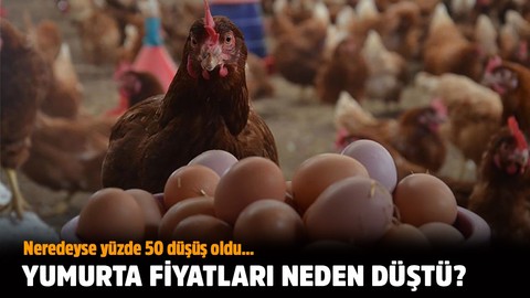 Yumurta fiyatları neden düştü?