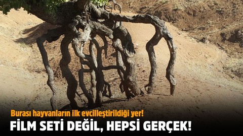 Burası Ergani! Görenler şaşırıp kalıyor